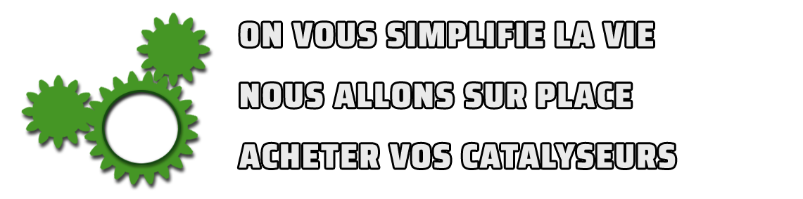 nous allons sur place acheter vos catalyseurs